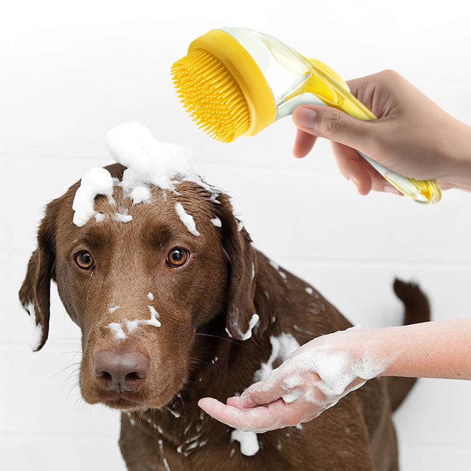 Dog Shampoo