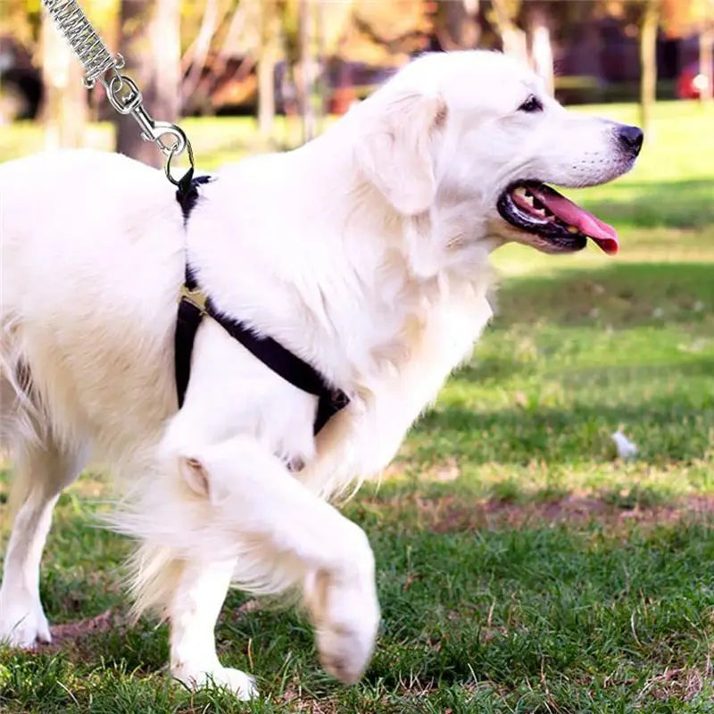 AEE8-Dog Tie Out Cable Dog Runner For Yard Steel Wire Dog Leash With Superior Spring Large Dog Running In Outdoor