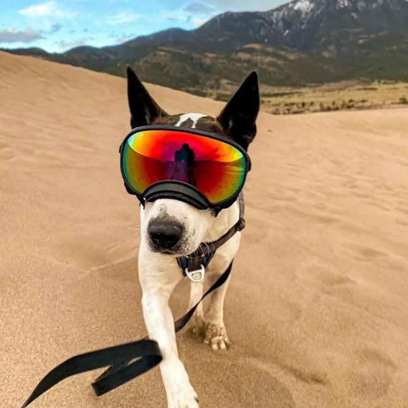 Dog Goggles Anti-UV Sun Glasses Eyewear Protection Adjustable Windproof Pet Dog Supplies For Travel
