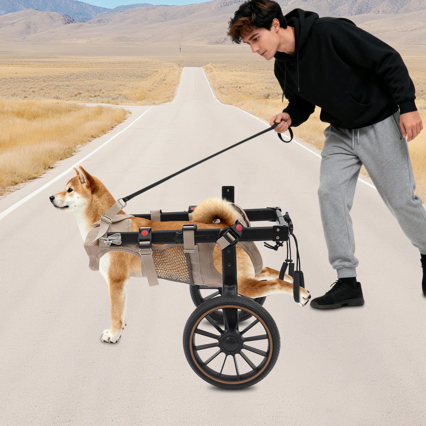 Adjustable Pet Trolley Pet Dog Wheelchair Rehabilitation Walking Aid Cart Portable Walk Trolley Tools for Hind-Leg Support