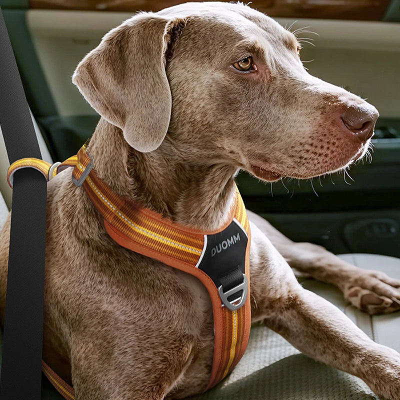 Dog Harness and Leash Set for Large Dogs Heavy Duty No Pull Service Dog Vest with Dog Seat Belt Reflective Adjustable Pet Harnes