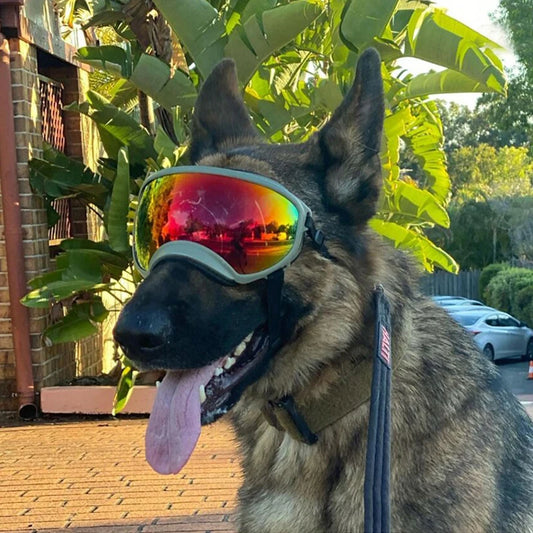 Dog Goggles Anti-UV Sun Glasses Eyewear Protection Adjustable Windproof Pet Dog Supplies For Travel