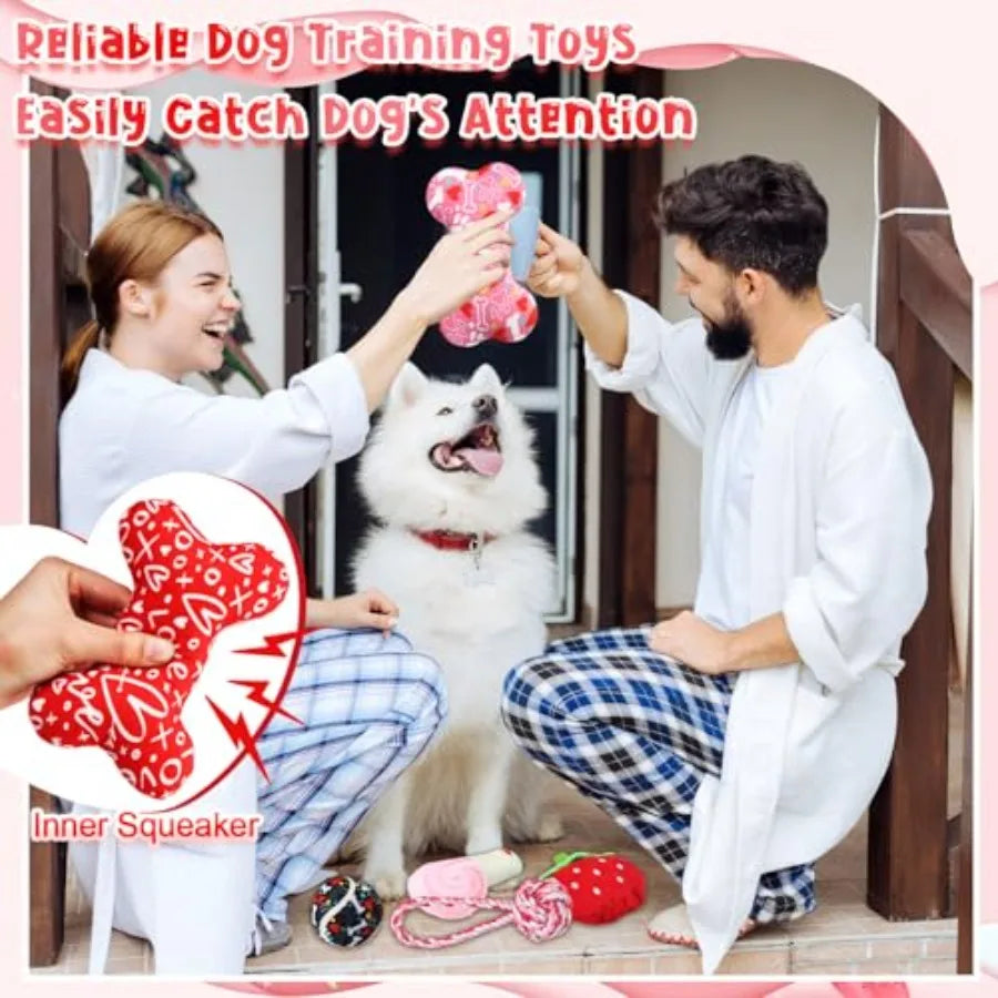 25 Pcs Valentines Dog Toys Set Tennis Balls Squeaky Bone Rope Plush Toys for Puppy Pet Valentine Gifts Red Blue-xq