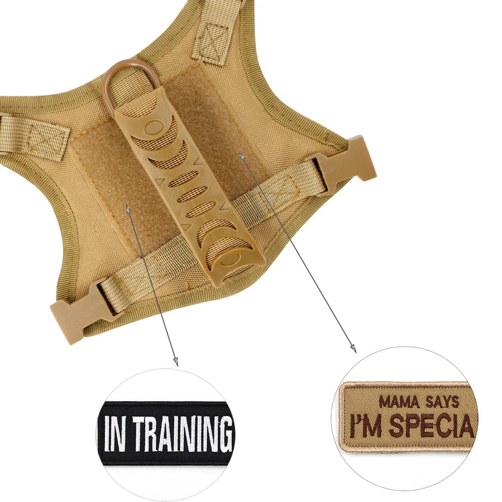 Tactical Puppy Harness Leash Set For Small Dogs Adjustable Cat Harnesses Vest For Training Walking Military Cats Dog Accessories