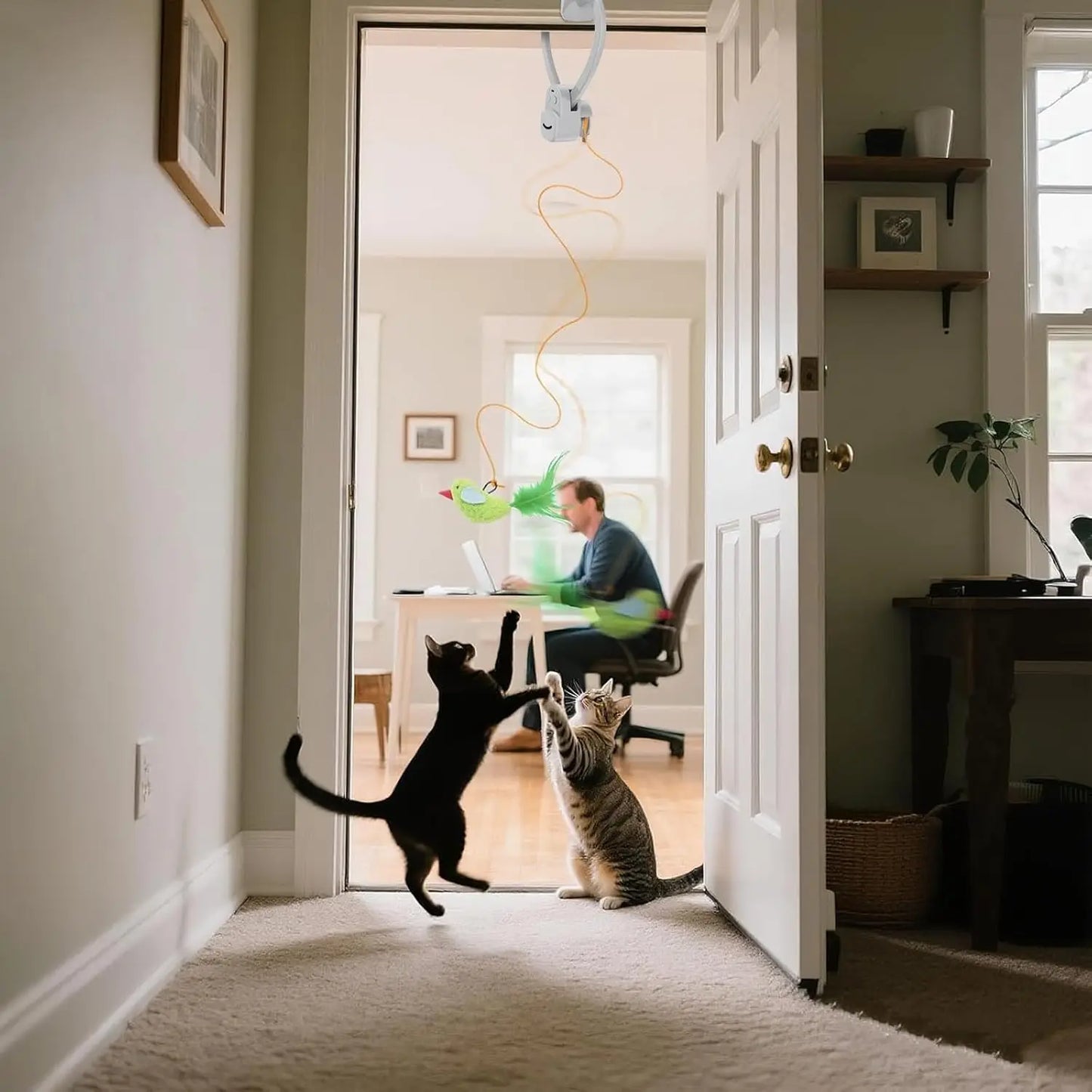 Automatic Cat Teaser Toy – Motorized Flying Bird & Squirrel Lure with Suction Mount |Interactive Enrichment Game for Indoor Cats