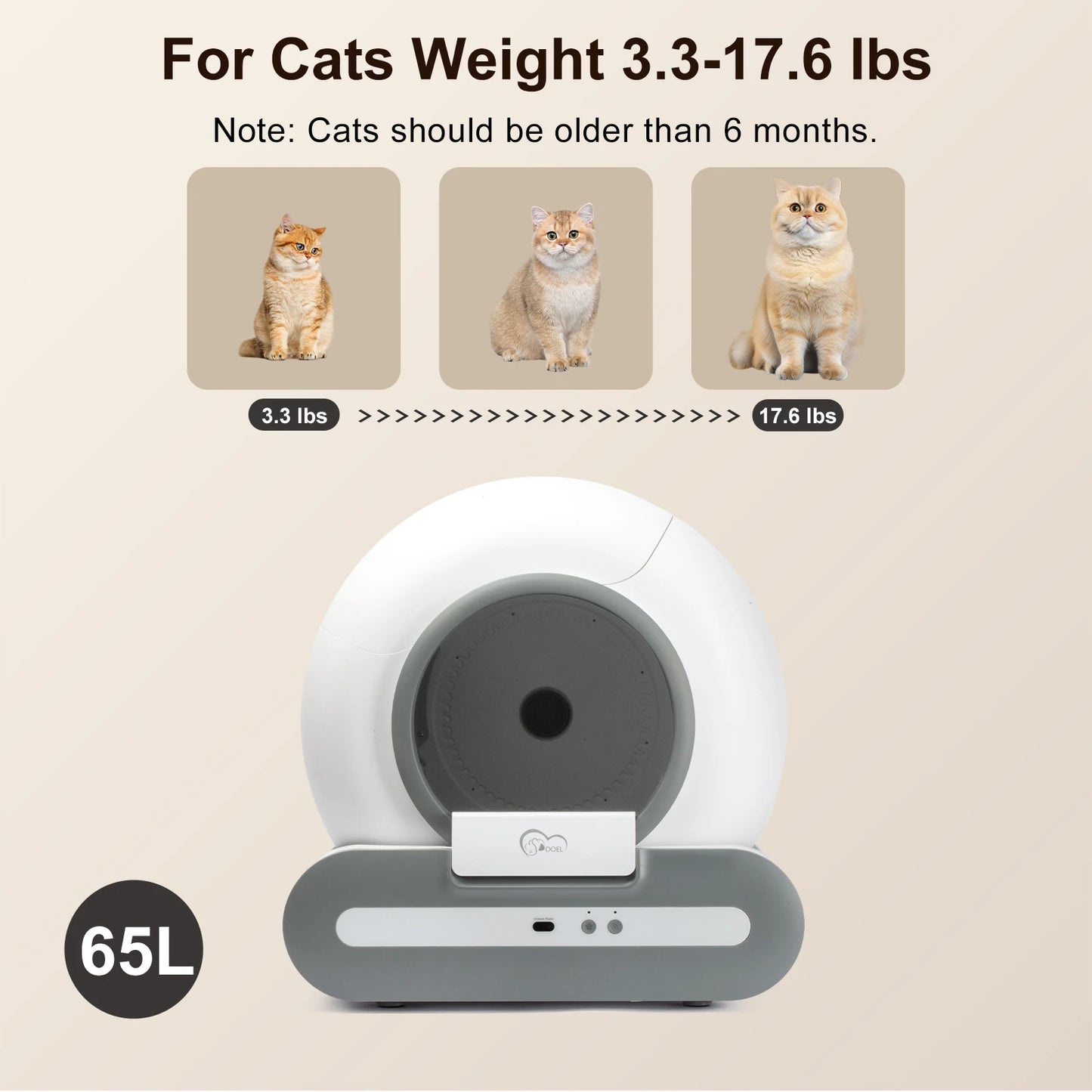 automatic litter box